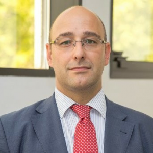 Boris Delgado Team Lider del Grupo de Trabajo ITSM4ISO20000 del Comité de Estándares de itSMF España