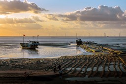 SC40jpg (Copiar) Artículo SC40