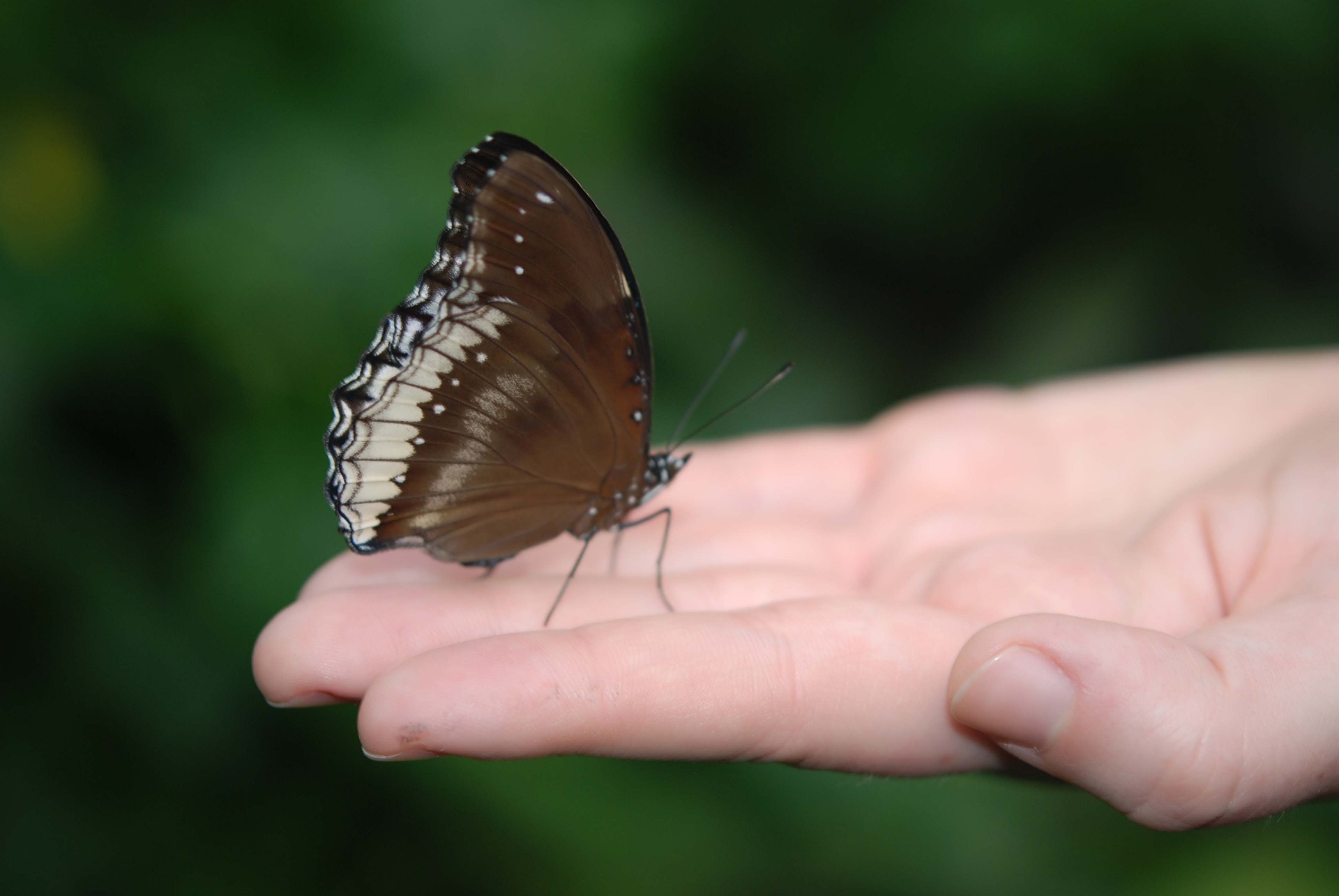 SC40: Metamorfosis en las normas internacionales